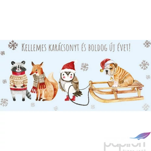 Képeslap borítékos LA4 borítékos zsebes zsebes képeslap pénznek