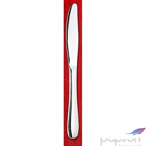 Kés rozsdamentes acél 22cm 12db-os szett Palermo