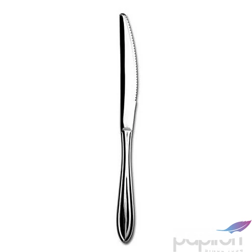 Kés rozsdamentes acél 24cm 12db-os szett Time