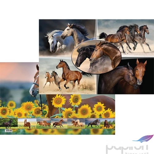 Asztali könyöklő T-Creativ 545x340mm, Horses 