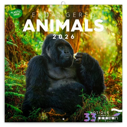 Falinaptár 2026 Endangered Animals 6097-EA lemeznaptár 30×30cm Realsystem 2026 kollekció!