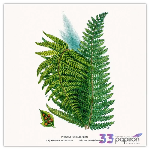 Falinaptár 2026 Herbarium 6097-HE lemeznaptár 30×30cm Realsystem 2026 kollekció!