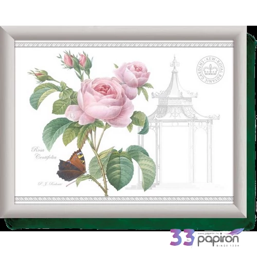 Öltálca 438x338mm  Royal Botanic Garden:Redouté Classic