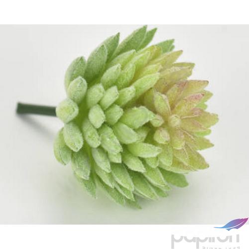 Művirág - Pozsgás 4x4,5cm 