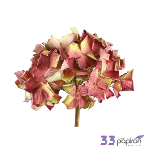 Selyemvirág művirág hortenzia Hydrangea rd L pink 65cm Holland DST53