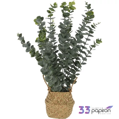 Selyemvirág művirág '23 eucalyptus kosárban kpm