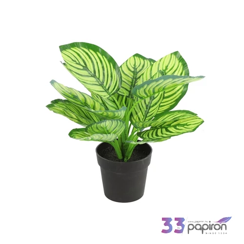 Selyemvirág művirág zebrale Calathea green 30cm Holland DST53