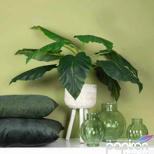 Selyemvirág - művirág Strelitzia S green Strelitzia S zöld papagályvirág Holland SDDST53