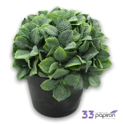 Selyemvirág művirág kaspóban fekete színű műanyag cserépben 12x9cm 4féle típus