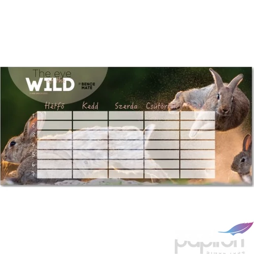 Órarend Ars Una egylapos The Eyes Of The Wild-2 (5113) 21 Öntapadós füzetcímke 3ívx6db