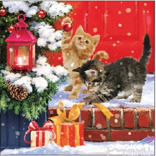 Szalvéta 25x25cm Kittens On Doorstep 20db 