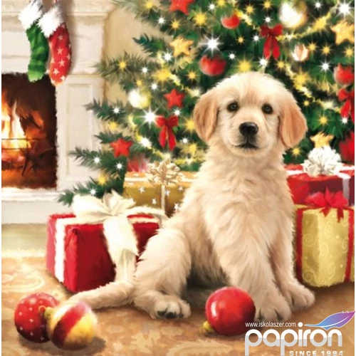 Szalvéta Ambiante Waiting for Presents papírszalvéta 33x33cm,20db-os