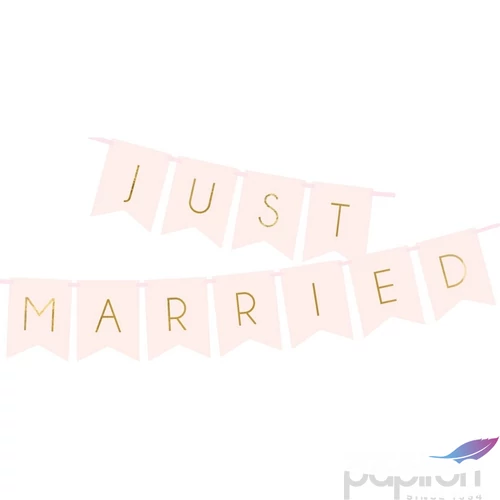 Party banner Lánybúcsúra Just Married light pink fűzér 15x155cm