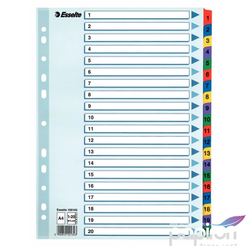 Regiszter Esselte 1-20 mylar 1-20 A4 Esselte