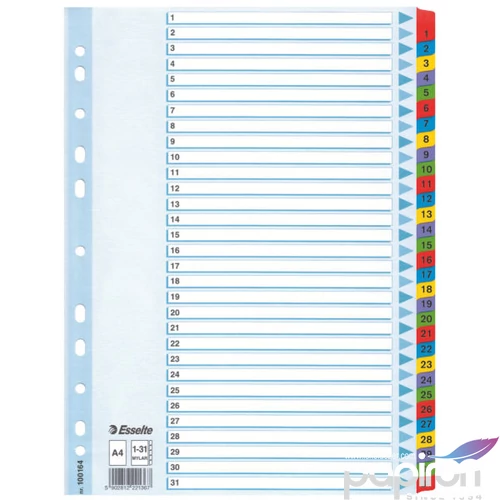 Regiszter Esselte 1-31 mylar 1-31 A4 Esselte