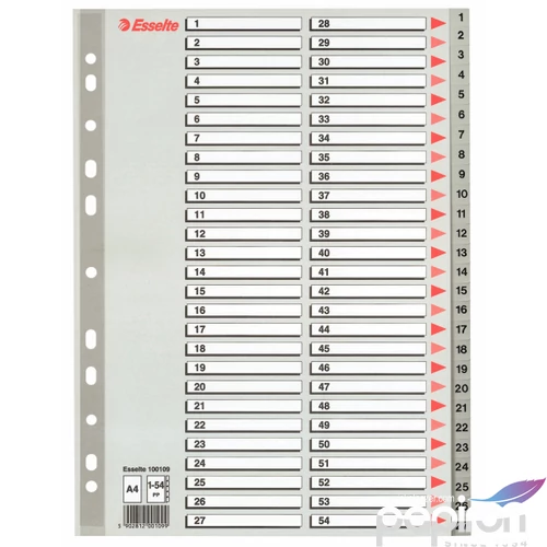 Regiszter Esselte 1-54 műanyag 1-54 A4 maxi Esselte