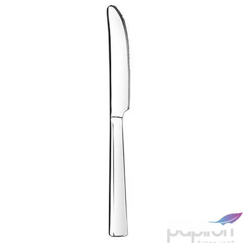Rozsdamentes Kés készlet Mira 21,5cm (12db/csom) 1602MIR002