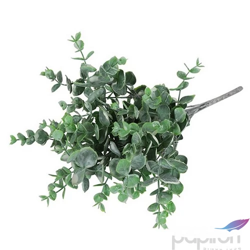 Selyemvirág - művirág Eucalypthus L frost SDDST53