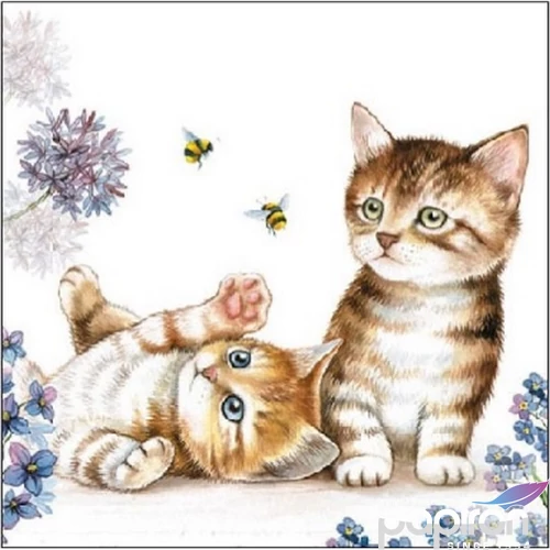 Szalvéta 25x25cm Cats and Bees 20db-os 