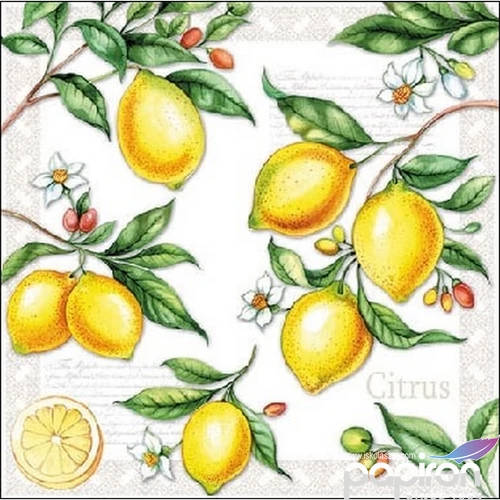 Szalvéta 25x25cm Citrus 20db-os