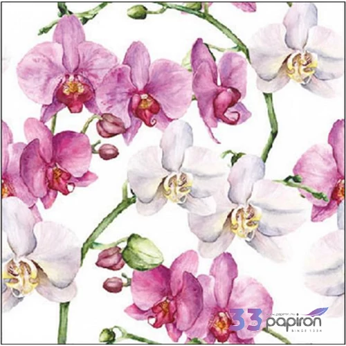 Szalvéta Ambiente Elegance Elegant orchids white papírszalvéta 25x25cm,15db-os
