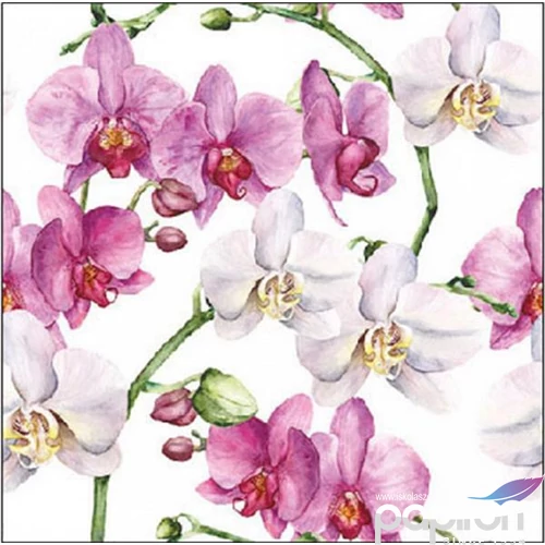 Szalvéta Ambiente Elegance Elegant orchids white papírszalvéta 25x25cm,15db-os