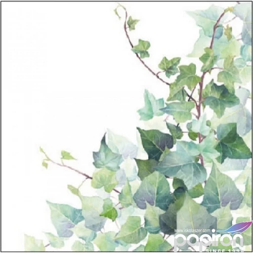 Szalvéta 25x25cm Hedera White 20db-os