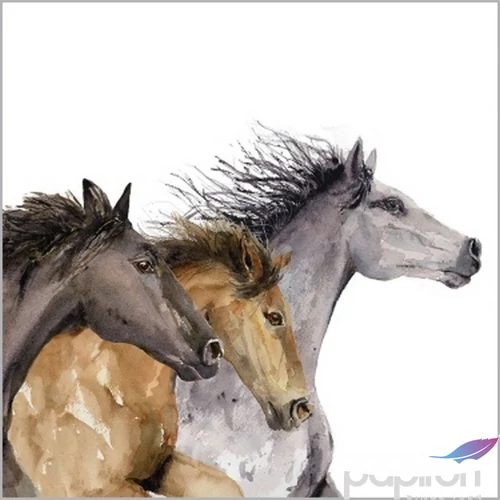 Szalvéta 25x25cm Hoof Beats  20db-os 