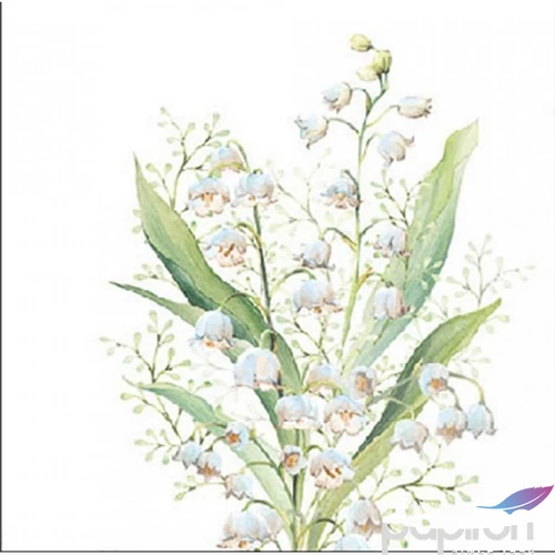 Szalvéta 25x25cm Lily of the valley white 20db-os 