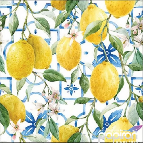 Szalvéta 25x25cm Mediterranean lemons 20db-os 