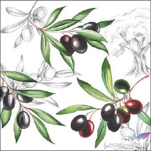 Szalvéta 25x25cm Olives 20db-os