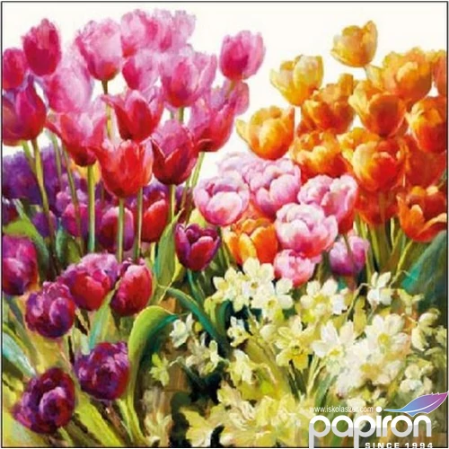 Szalvéta Ambiante Tulips papírszalvéta 25x25cm,15db-os