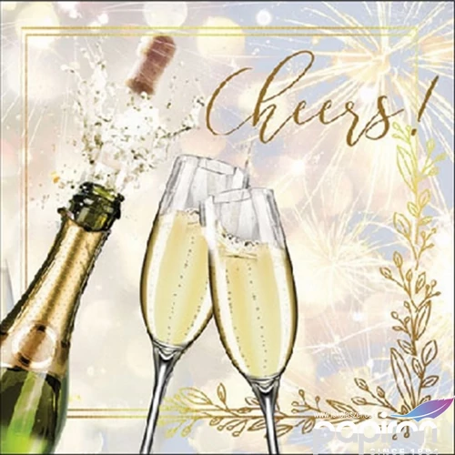 Szalvéta 25x25cm Popping bottle 20db-os