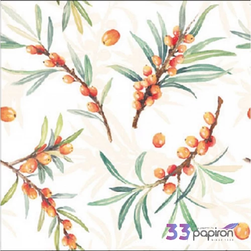 Szalvéta 25x25cm Sea Buckthorn 20db-os