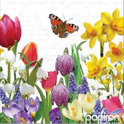 Szalvéta 25x25cm Spring feeling 20db-os