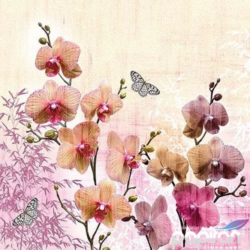 Szalvéta Ambiante Orchid Orient papírszalvéta 33x33cm,20db-os