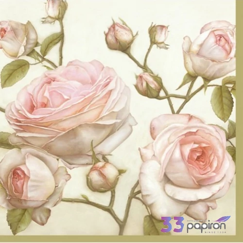 Szalvéta 33x33cm Beauty Roses 20db-os