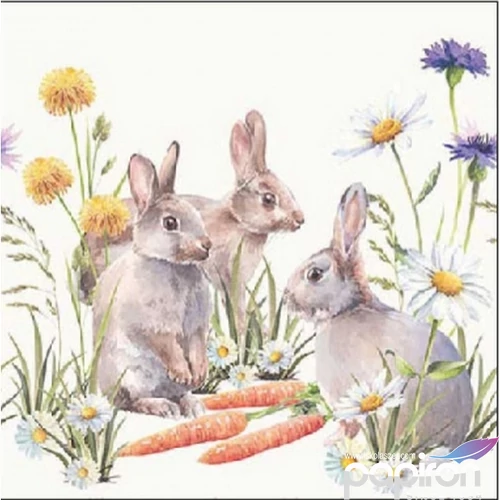 Szalvéta Ambiante Carrot treat papírszalvéta 25x25cm,15db-os
