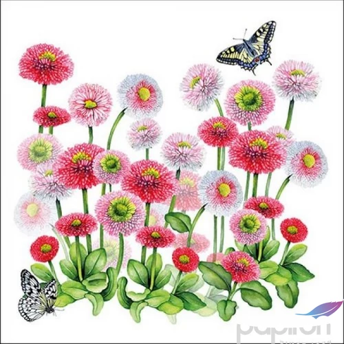 Szalvéta 33x33cm Bellis 20db-os