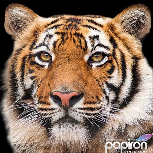 Szalvéta 33x33cm Bengal Tiger 20db-os