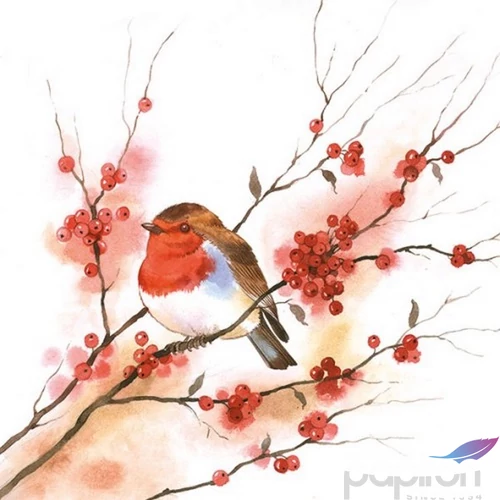 Szalvéta 33x33cm Birdy Robin 20db-os