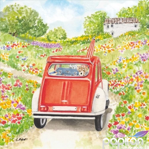 Szalvéta 33x33cm Bon Voyage! 20db-os
