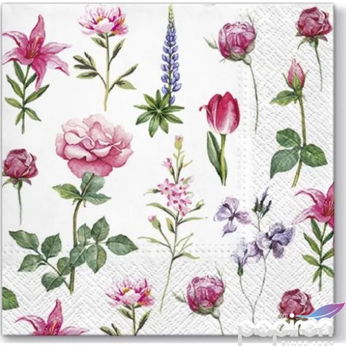 Szalvéta 33x33cm Boons of Garden 20db-os