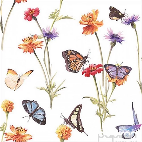 Szalvéta 33x33cm Butterfly garden white 20db-os 