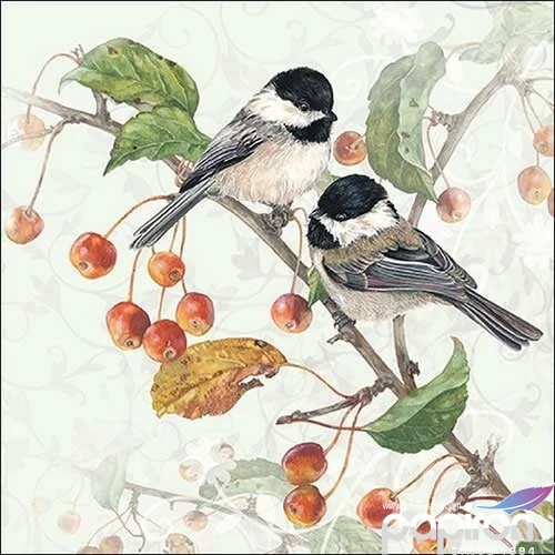 Szalvéta 33x33cm Chickadee 20db-os 
