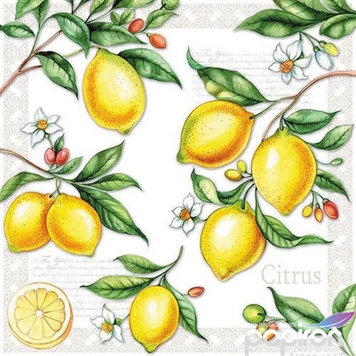 Szalvéta 33x33cm Citrus 20db-os