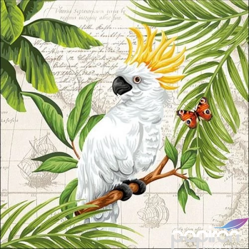 Szalvéta 33x33cm Cockatoo 20db-os