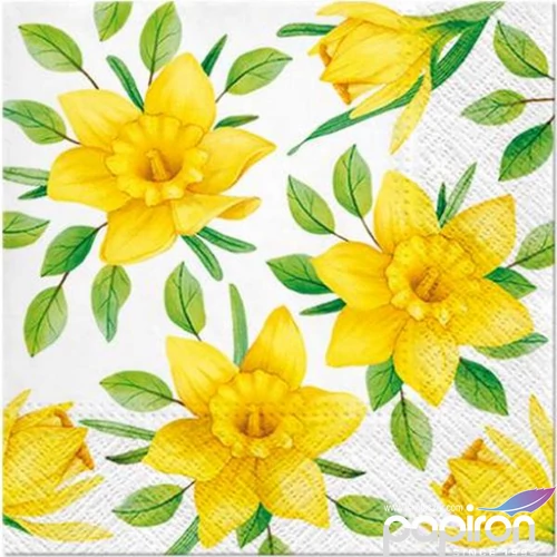 Szalvéta 33x33cm Daffodils in Bloom, 20db-os papírszalvéta 33x33cm,20db-os