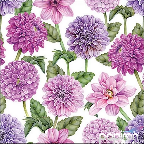 Szalvéta 33x33cm Dahlias in bloom 20db-os