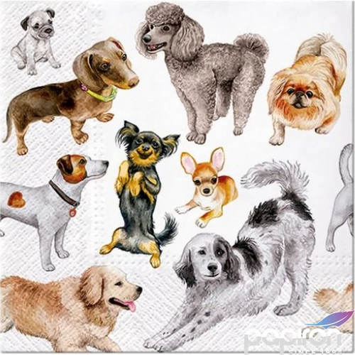 Szalvéta 33x33cm Dogs Happiness 20db-os